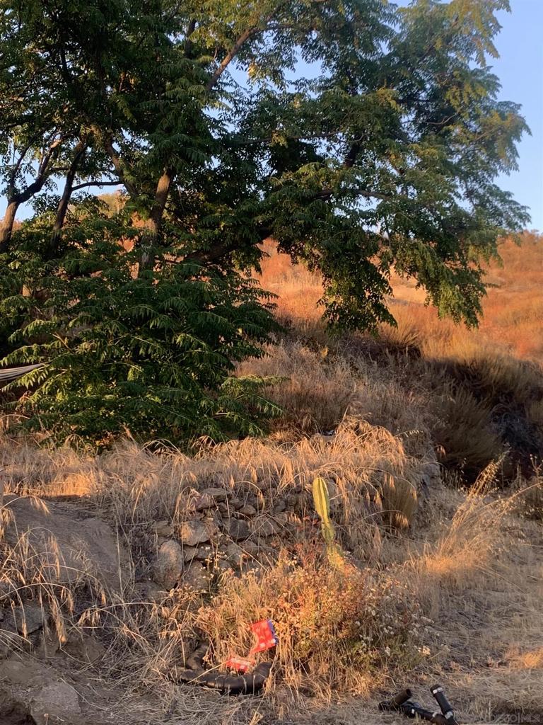 MLS #250034816SD image #44