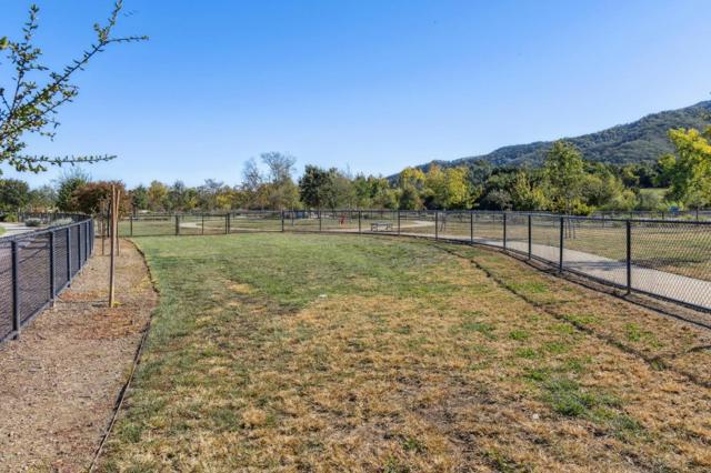 2521 Apricot Way, Gilroy CA: https://media.crmls.org/mediaz/9844ace7-e370-49d9-b43d-a03c620e9e42.jpg