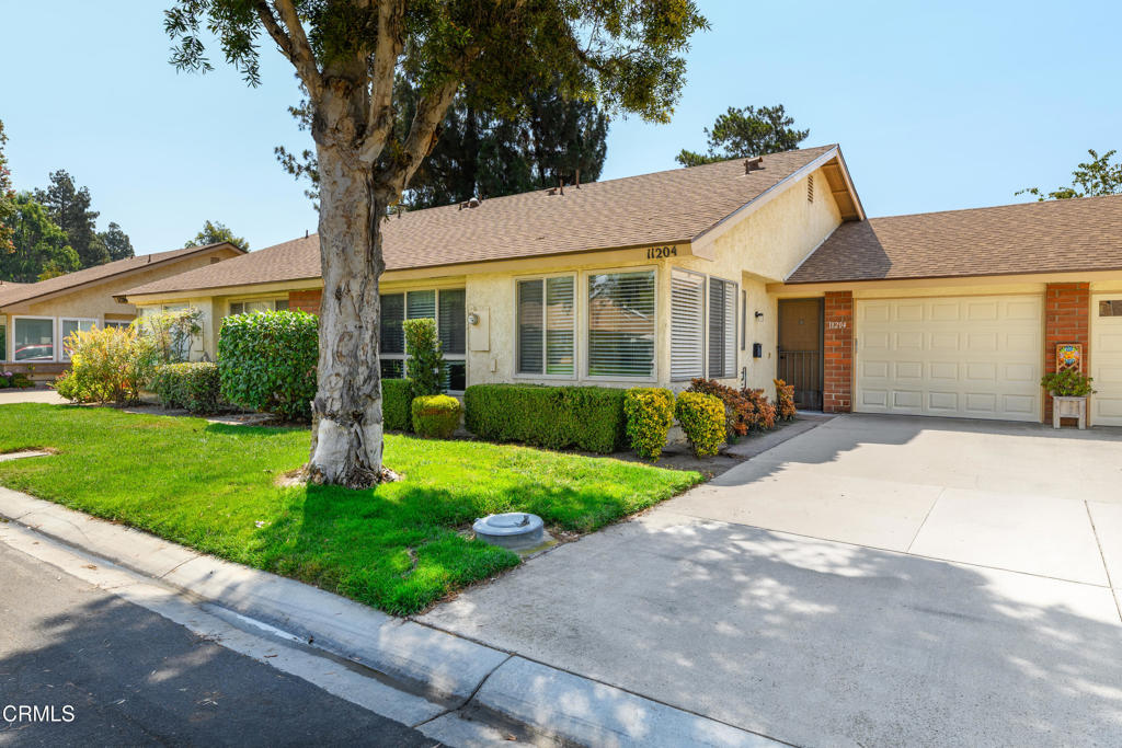 11204 Village 11