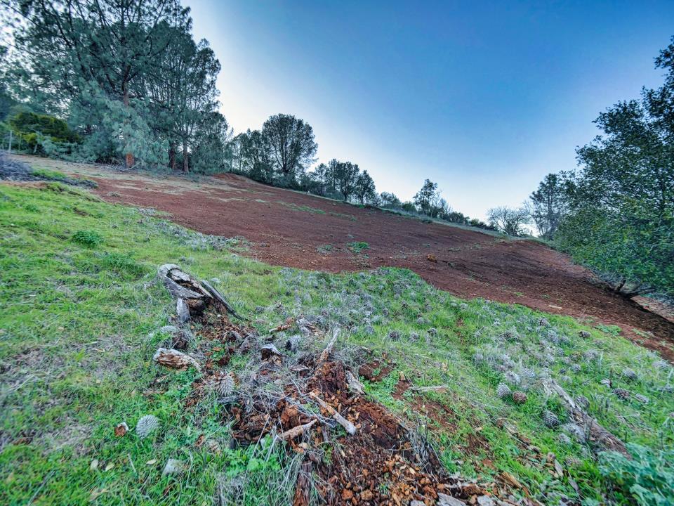 MLS #ML81988008 image #20