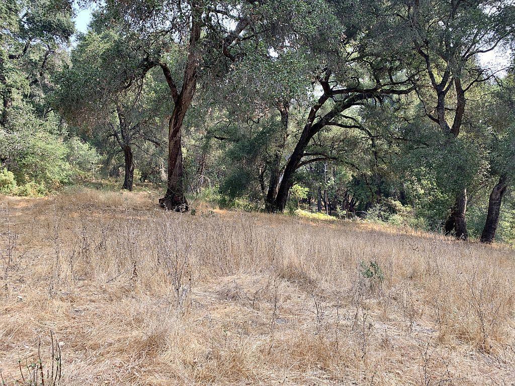 MLS #ML81810757 image #32