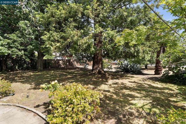 1580 3rd Ave, Walnut Creek CA: https://media.crmls.org/mediaz/98543744-6f62-4dcb-83d8-4de9ec438d8f.jpg