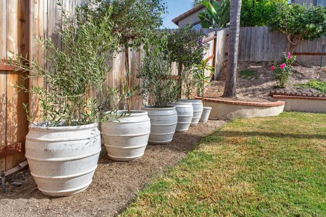 Detail Gallery Image 63 of 67 For 778 Sepia Ct, Oceanside,  CA 92057 - 4 Beds | 3 Baths