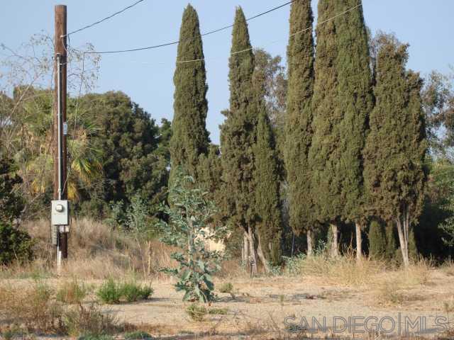 1252 Navel Place - photo 6
