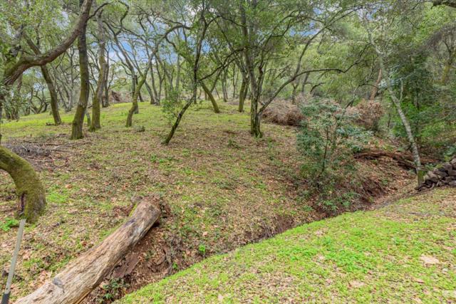 3005 Tohara Way, Morgan Hill CA: https://media.crmls.org/mediaz/986dc034-ff6c-49fa-b2ab-2f8631edf6f1.jpg