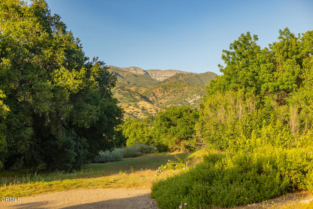 https://media.crmls.org/mediaz/98793f11-206f-472e-be6e-7f8841327a97.jpg?preset=X-Large