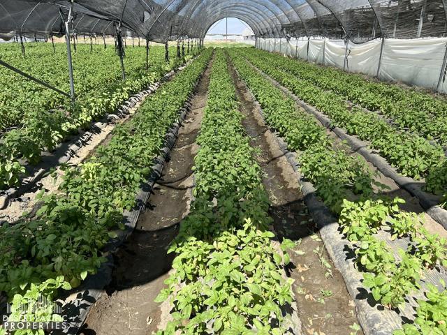 77.6 AC 78100 Harrison St, OA (5)
