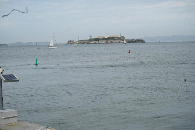 1921 Jefferson Street, San Francisco CA: https://media.crmls.org/mediaz/9890a89e-9835-4b4e-a94d-5bef54f5aa45.jpg