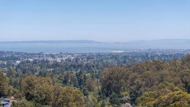 1095 Macadamia Drive, Hillsborough CA: https://media.crmls.org/mediaz/9890fd55-e93a-4f85-8c7b-6c52de2ce3ca.jpg