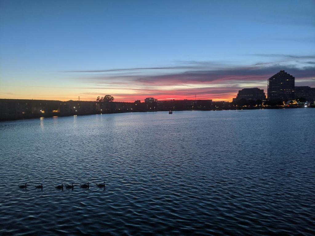 https://media.crmls.org/mediaz/98978cea-d57c-42f5-a4ef-aa57f28bf607.jpg?preset=X-Large
