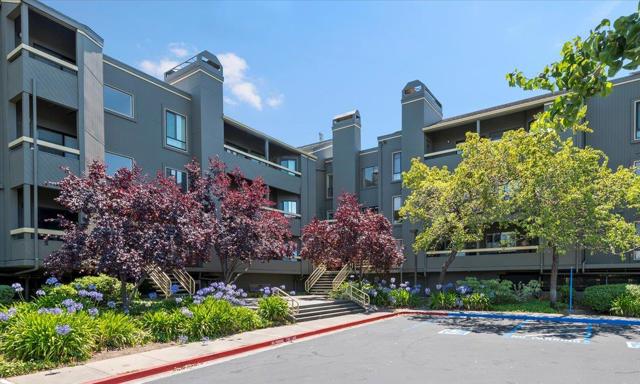 840 Sea Spray Lane, Foster City CA: https://media.crmls.org/mediaz/98995e84-2651-4e65-9801-8e2846fd81db.jpg