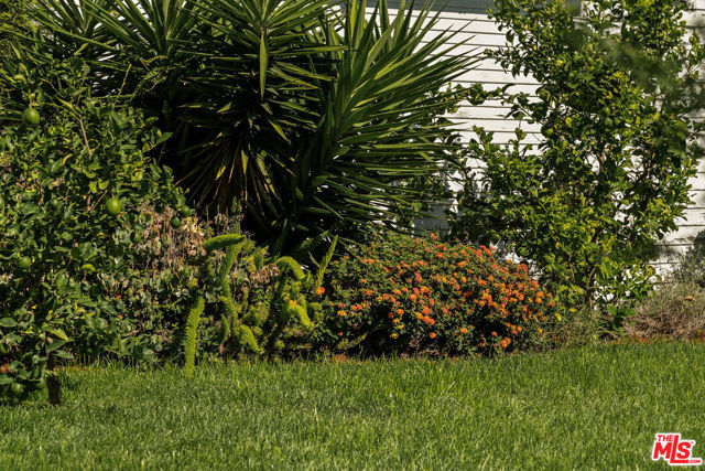 5748 7th Avenue, Los Angeles CA: https://media.crmls.org/mediaz/989a8bfa-1741-42b4-a99a-854611f6d2c3.jpg