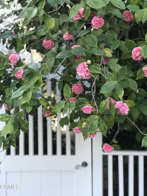 Detail Gallery Image 30 of 41 For 261 S Allen Ave, Pasadena,  CA 91106 - 3 Beds | 2 Baths