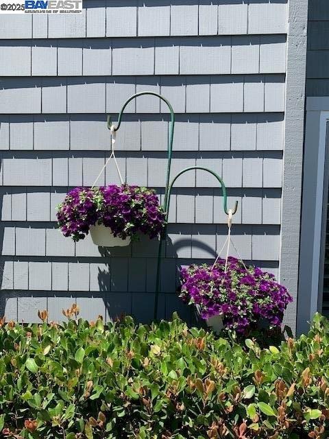 37 Clipper Drive, Alameda CA: https://media.crmls.org/mediaz/98b10026-7181-427f-8f94-d04027ea9550.jpg
