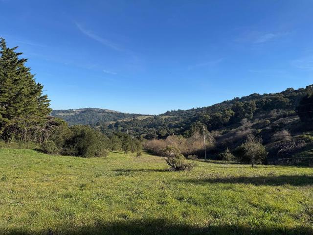 220 Heacox Road, Woodside CA: https://media.crmls.org/mediaz/98b4b8a5-3854-48c3-a905-ae6348e5b88d.jpg