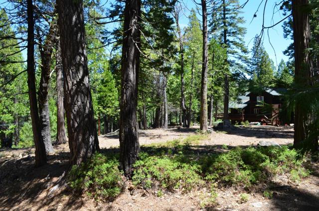3112 Apache Road, Dorrington CA: https://media.crmls.org/mediaz/98b5c4c4-c686-4f9b-b985-01df068a3ef6.jpg