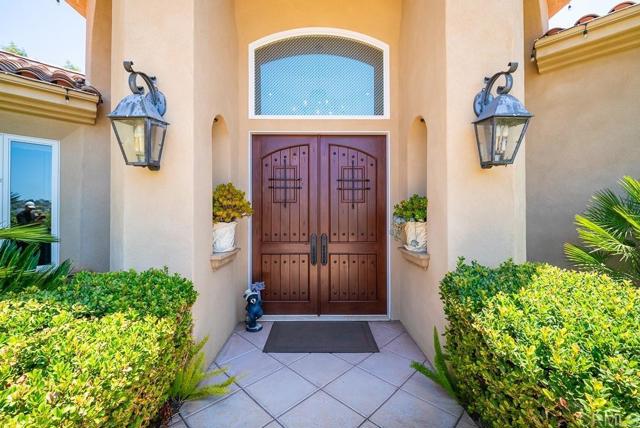 Custom Double Doors
