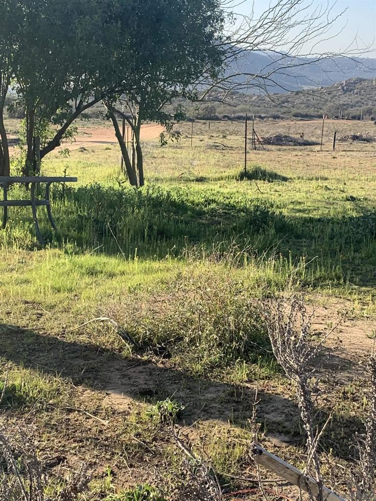 MLS #250034816SD image #43