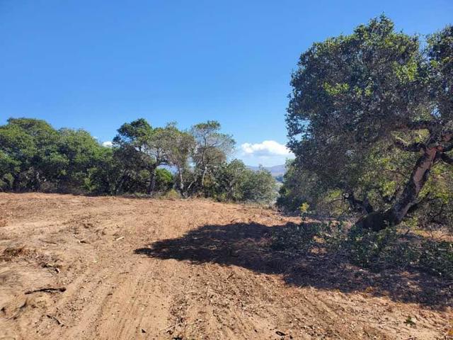 19705 Moonglow Road, Salinas CA: https://media.crmls.org/mediaz/98d3c6ba-6f90-46c9-a881-1fba07588194.jpg