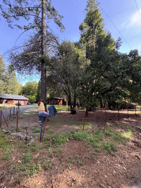14543 Kathy Lane, Pioneer CA: https://media.crmls.org/mediaz/98e47281-7b48-4ba7-a740-821b5e272ed7.jpg