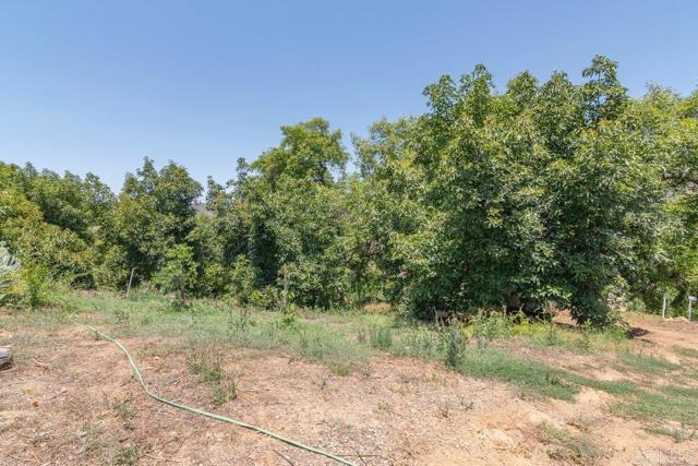 3160 Slivkoff Drive, Escondido CA: https://media.crmls.org/mediaz/98e8e221-472f-457d-9694-6808b03199c9.jpg