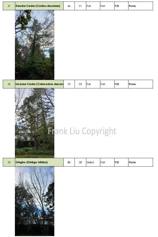 269 Selby Lane, Atherton CA: https://media.crmls.org/mediaz/98eb0f02-ac06-41f1-b23d-ad09f6b4acfd.jpg