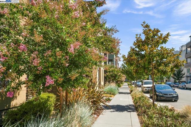 Image 24 of 52 For 45378 Tom Blalock St  202