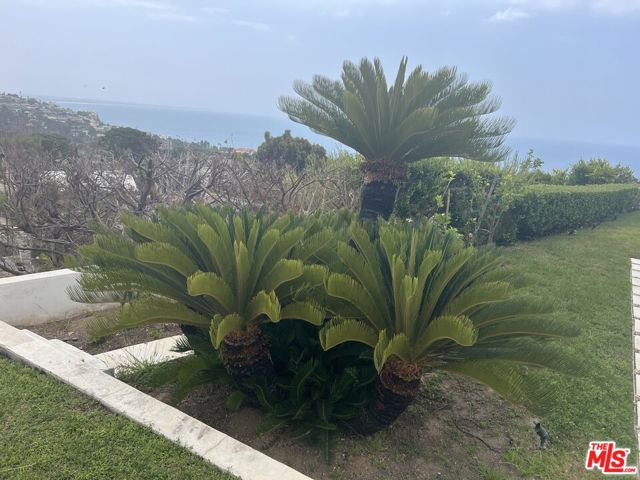 3440 Shoreheights Drive, Malibu CA: https://media.crmls.org/mediaz/98f08d42-ec76-42fc-b72c-769227e4c0b6.jpg