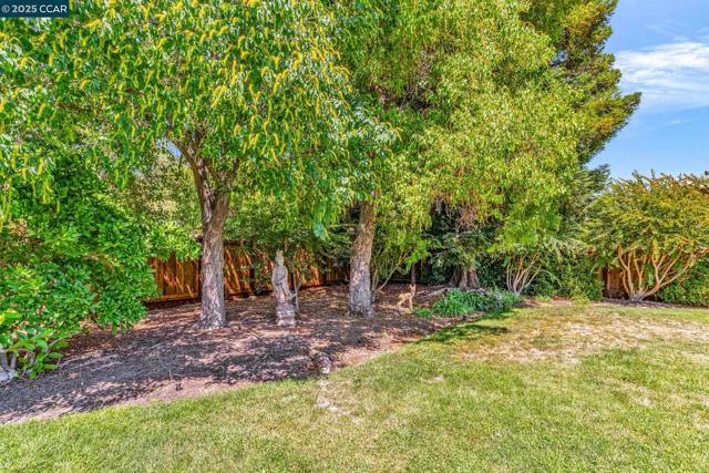 2032 Vanderslice Ave, Walnut Creek CA: https://media.crmls.org/mediaz/98f90d45-7c0d-4804-96ae-89deb5277692.jpg