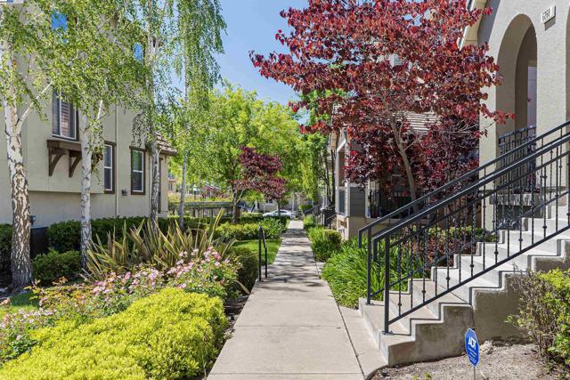 6268 Byron Ln, San Ramon CA: https://media.crmls.org/mediaz/98fb5741-8941-42db-974b-32f757b51596.jpg