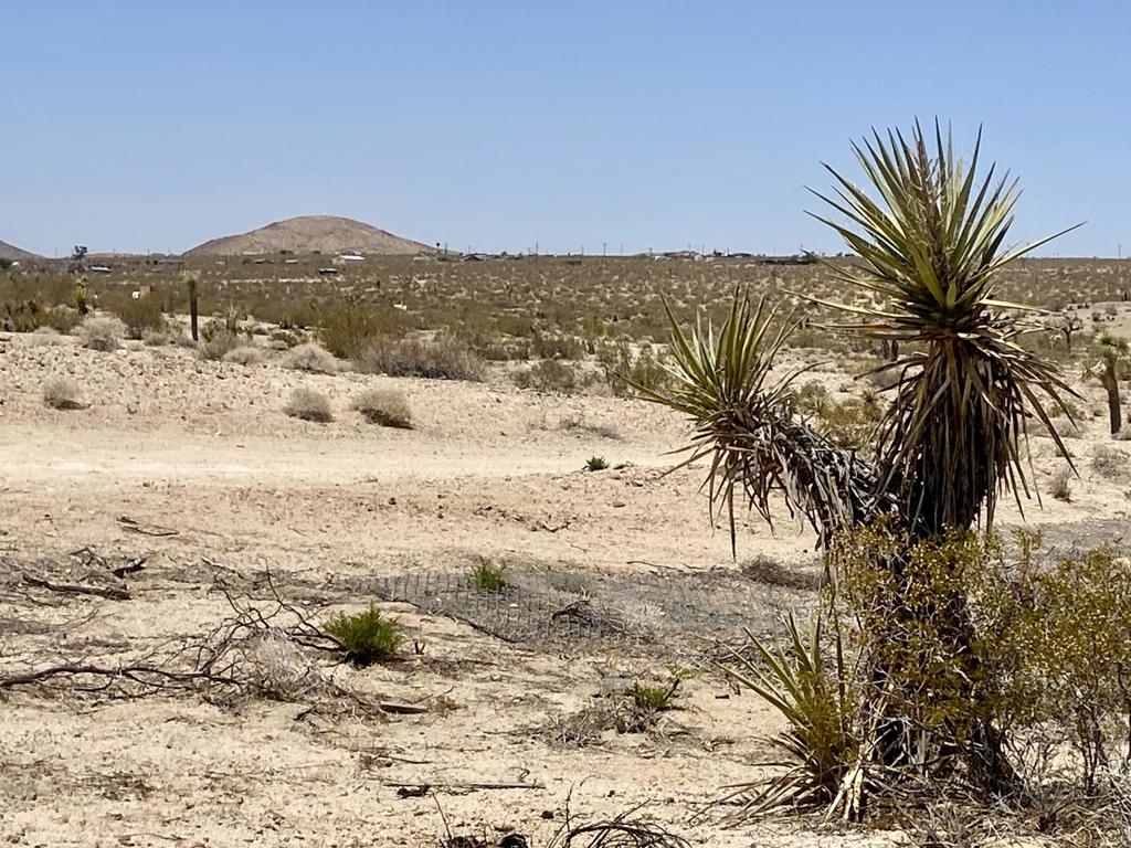 MLS #219134434PS image #22