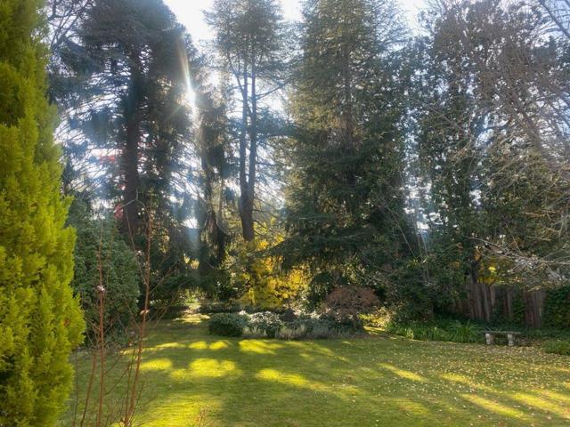 269 Selby Lane, Atherton CA: https://media.crmls.org/mediaz/98fe3582-c29f-484c-b05e-fcb943fa0809.jpg