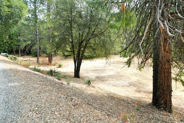 17533 Humbug Creek Road, Glencoe CA: https://media.crmls.org/mediaz/99038b59-0b82-4290-81fc-09fe0392b37e.jpg