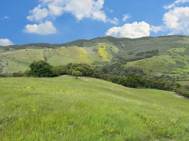 29 Potrero Trail, Carmel CA: https://media.crmls.org/mediaz/990eeae6-f569-4981-959d-5dd93a2017ce.jpg