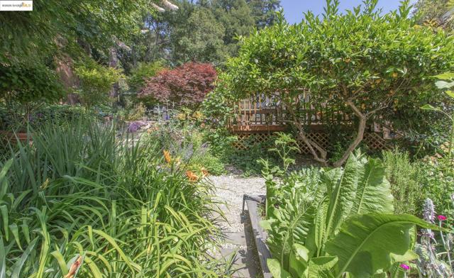 1081 Keith Ave, Berkeley CA: https://media.crmls.org/mediaz/9914eb8d-5866-42f5-baa1-61ffdfeca151.jpg