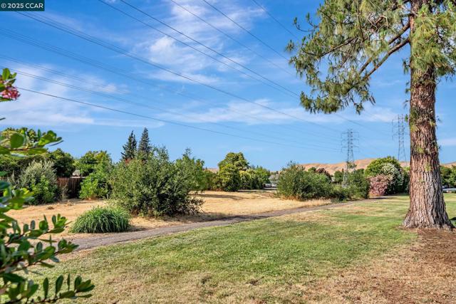 1335 Kenwal Rd, Concord CA: https://media.crmls.org/mediaz/99154832-df4d-48ba-8610-94005b651e7e.jpg