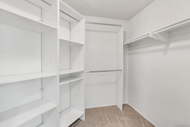 Walk-In Primary Closet with Organizers