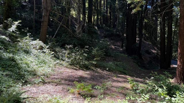 15645 Stetson Road, Los Gatos CA: https://media.crmls.org/mediaz/991e066b-fd70-4a62-9576-f218d9cf7a05.jpg