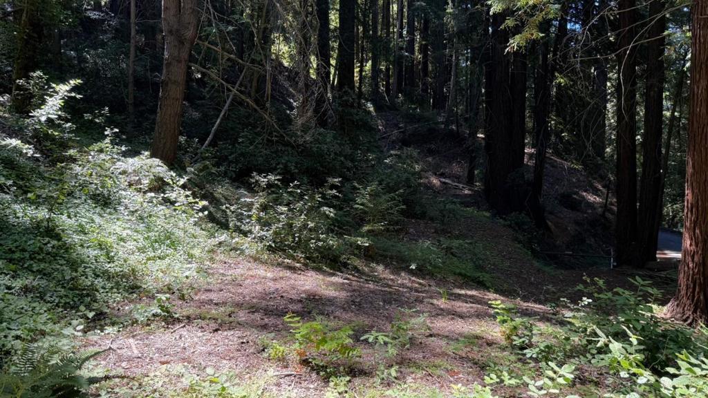 MLS #ML82019043 image #5