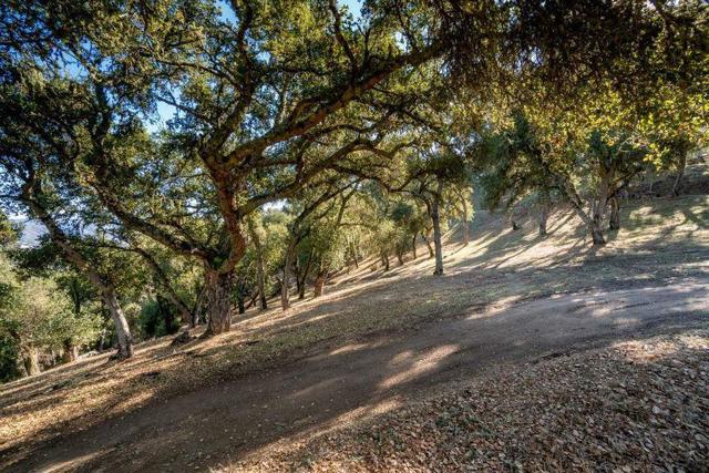 17114 Cachagua Road, Carmel Valley CA: https://media.crmls.org/mediaz/99245434-81ab-4737-928e-97b8788d0476.jpg