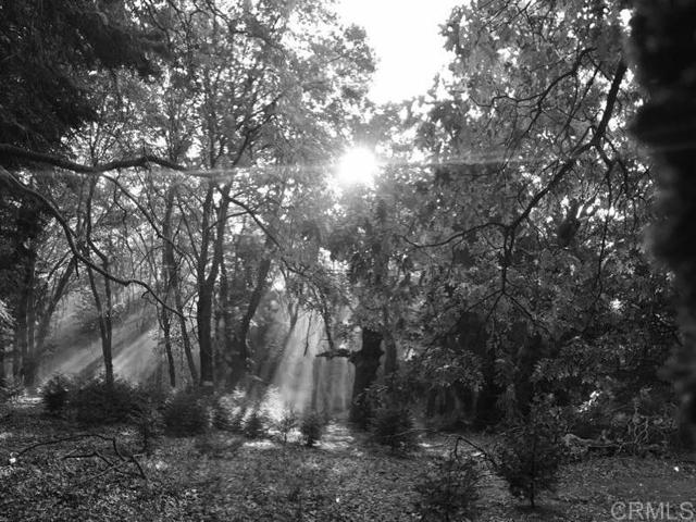 Detail Gallery Image 55 of 75 For 3413 Fern Meadow Rd, Palomar Mountain,  CA 92060 - 3 Beds | 3/1 Baths