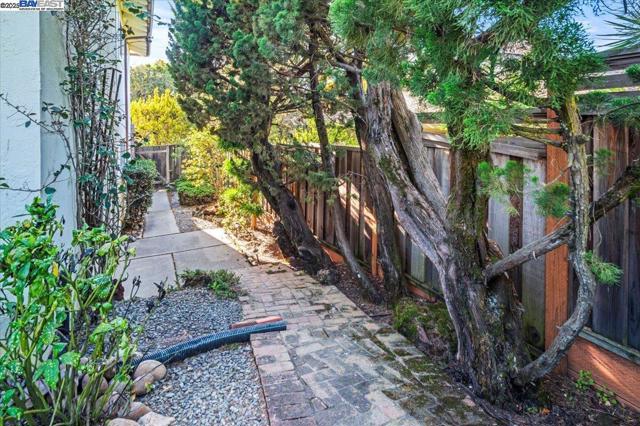 3554 Arcadian Ct, Castro Valley CA: https://media.crmls.org/mediaz/9932ca84-e094-4f3c-b55d-0a064df4cdbf.jpg