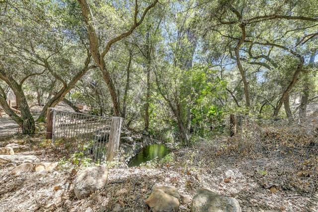 15134 Woods Valley Road, Valley Center CA: https://media.crmls.org/mediaz/993987ae-bfb7-4c00-a65d-28fc51580263.jpg