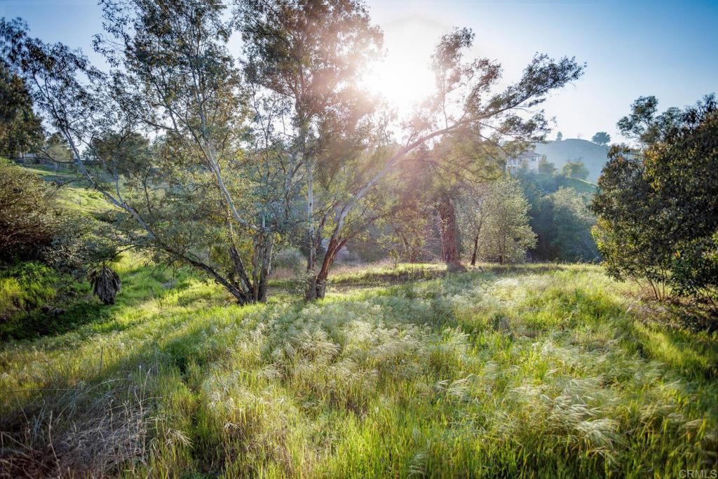MLS #NDP2506437 image #13