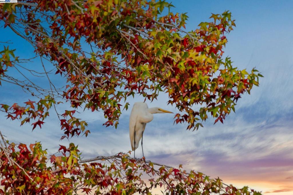 https://media.crmls.org/mediaz/99432307-335f-469f-ab2a-7569c8931b0e.jpg?preset=X-Large