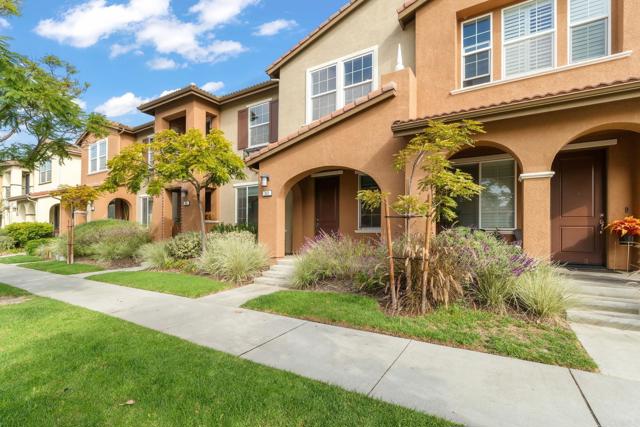 343 American River Ct photo 2