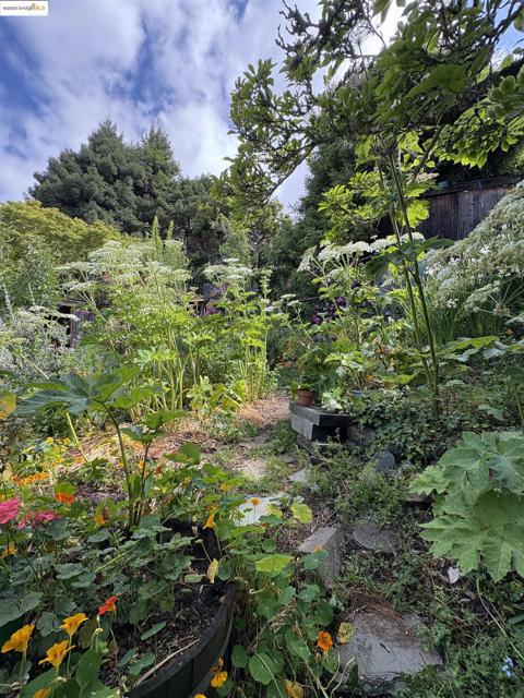 1001 Cragmont Ave, Berkeley CA: https://media.crmls.org/mediaz/995c7054-6d2c-483b-b7da-b32aced5218b.jpg