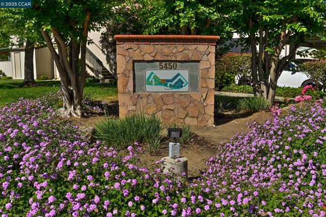 5450 Concord Blvd, Concord CA: https://media.crmls.org/mediaz/99622e06-ff33-4cda-81a0-acb5839659e2.jpg
