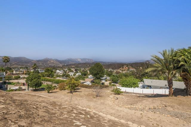 Detail Gallery Image 40 of 55 For 9318 Idyl Pl, Lakeside,  CA 92040 - 3 Beds | 2 Baths
