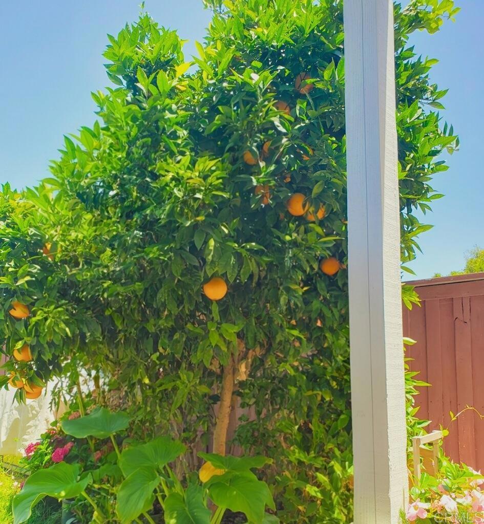 https://media.crmls.org/mediaz/997112a2-108e-4fe1-92b4-96b3f9b68e12.jpg?preset=X-Large